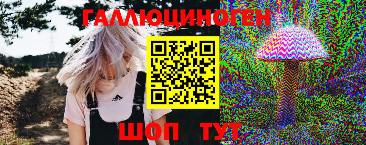 Псилоцибиновые грибы ЛСД Саянск