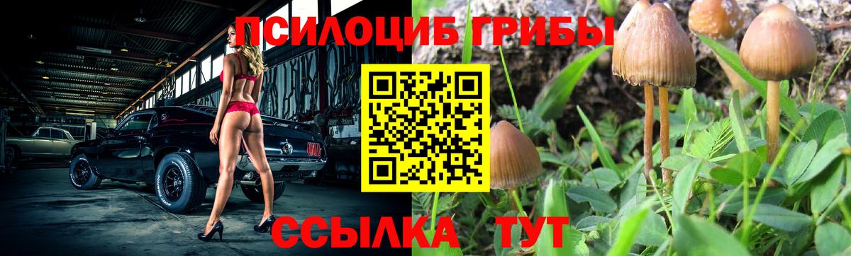 Саянск  Галлюциногенные грибы ЛСД  Псилоцибиновые грибы Psilocybine cubensis  Вход с VPN 